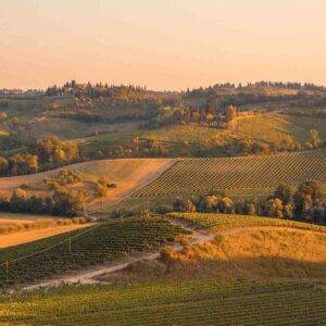 greta farnedi EAt30ojfzOI unsplash Farm Life: Preparing for the Third Autumn Harvest