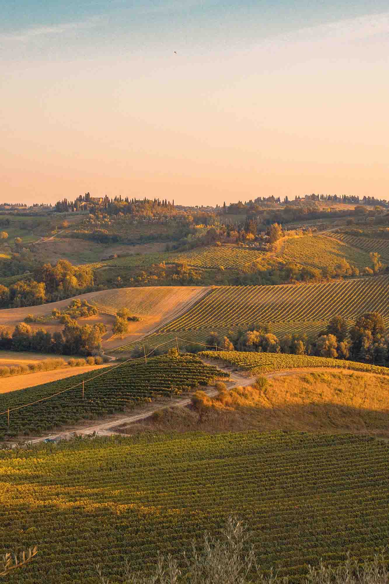 greta farnedi EAt30ojfzOI unsplash Farm Life: Preparing for the Third Autumn Harvest
