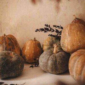 katie oh XNo ilUurdc unsplash Chef Tip - How to prepare a Pumpkin