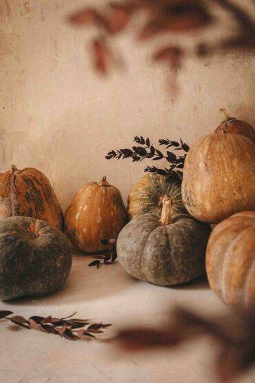katie oh XNo ilUurdc unsplash Chef Tip - How to prepare a Pumpkin